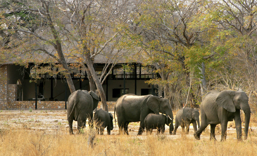 Gwango Heritage Resort Dete Esterno foto